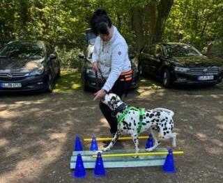 Me & Dog Fitness-Seminar 05.2026