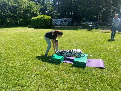 Züchtertag der Regio West 08.06.2024