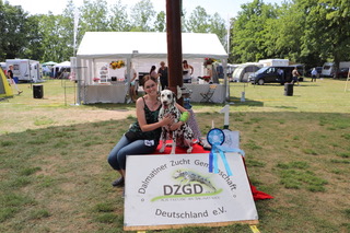 Regionalgruppen - Doppelausstellung Ost der DZGD in Krosigk- 2023