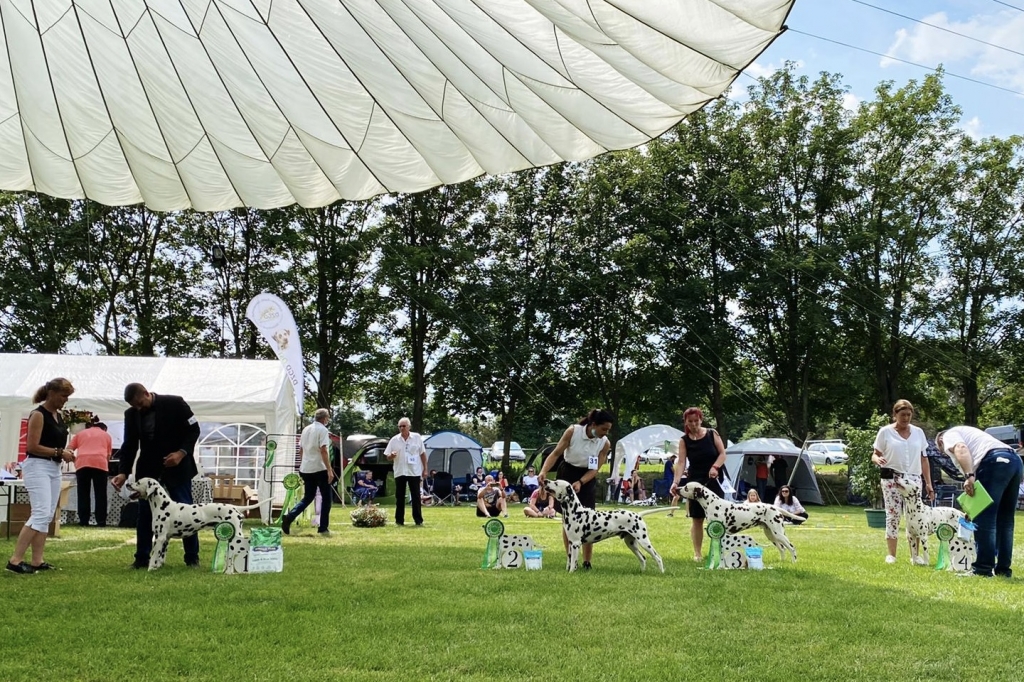 Zwei tolle Ausstellungstage bei der DZGD-Regionalgruppenausstellung der Region Ost in Krosigk 2021