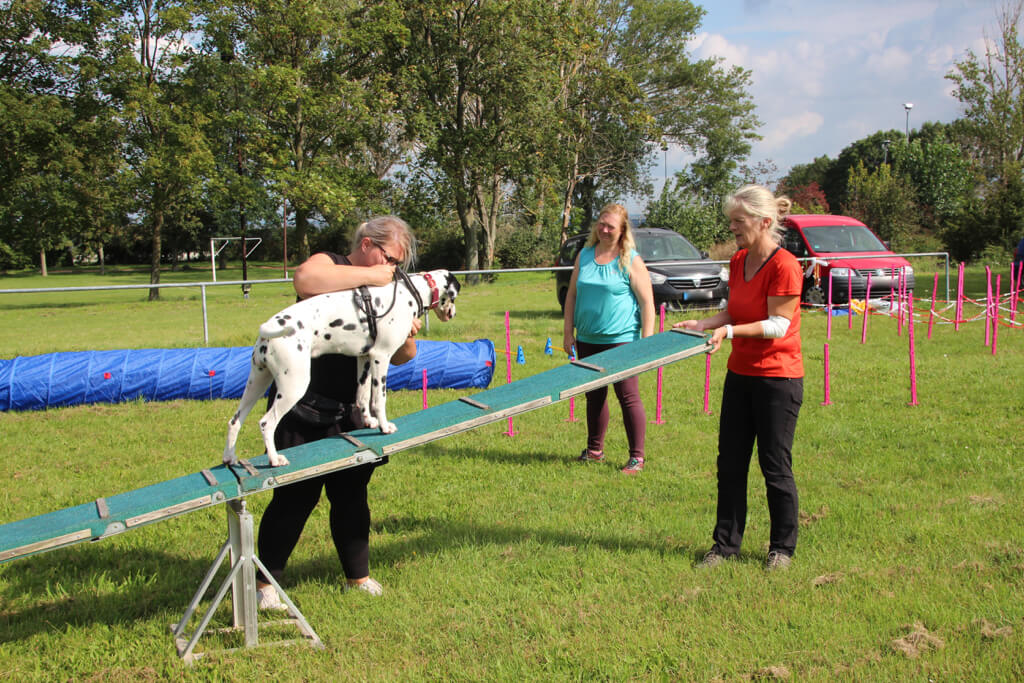 Degility®-Workshop der Abteilung Sport 11.09.2021