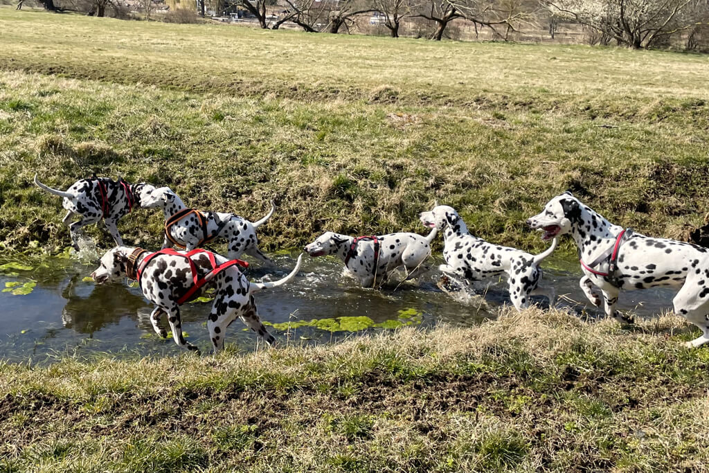 Wanderung in den Frühling 20.03.2022
