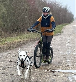 Dogscooterseminar in Leipzig /Knautnaundorf