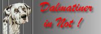Dalmatiner in Not