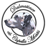 Logo Dalmatiner de Capella Montis
