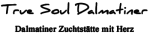 Logo ex Alphabetum