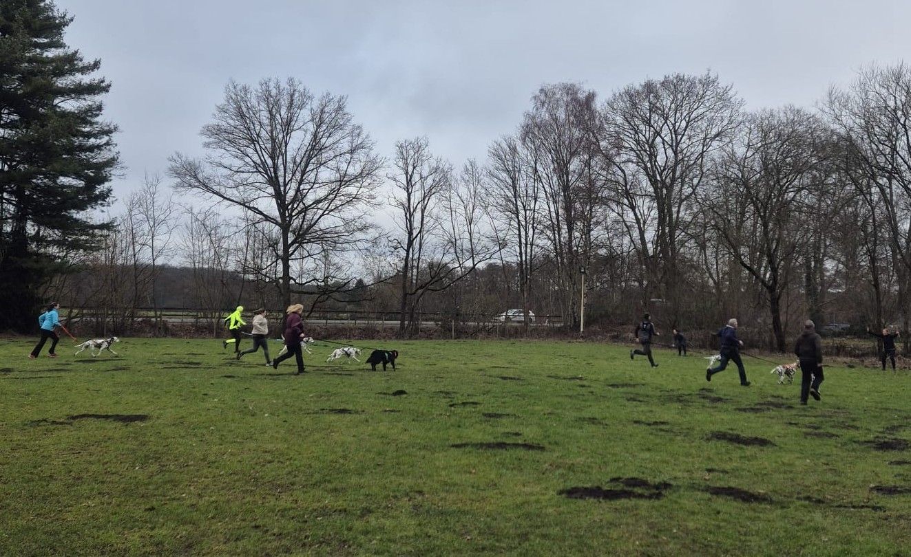 Einsteiger-Workshop Carnicross