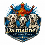 Logo Dalmatiner of Flaryja Kings