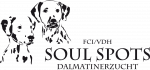 Logo Soul Spots Dalmatiner