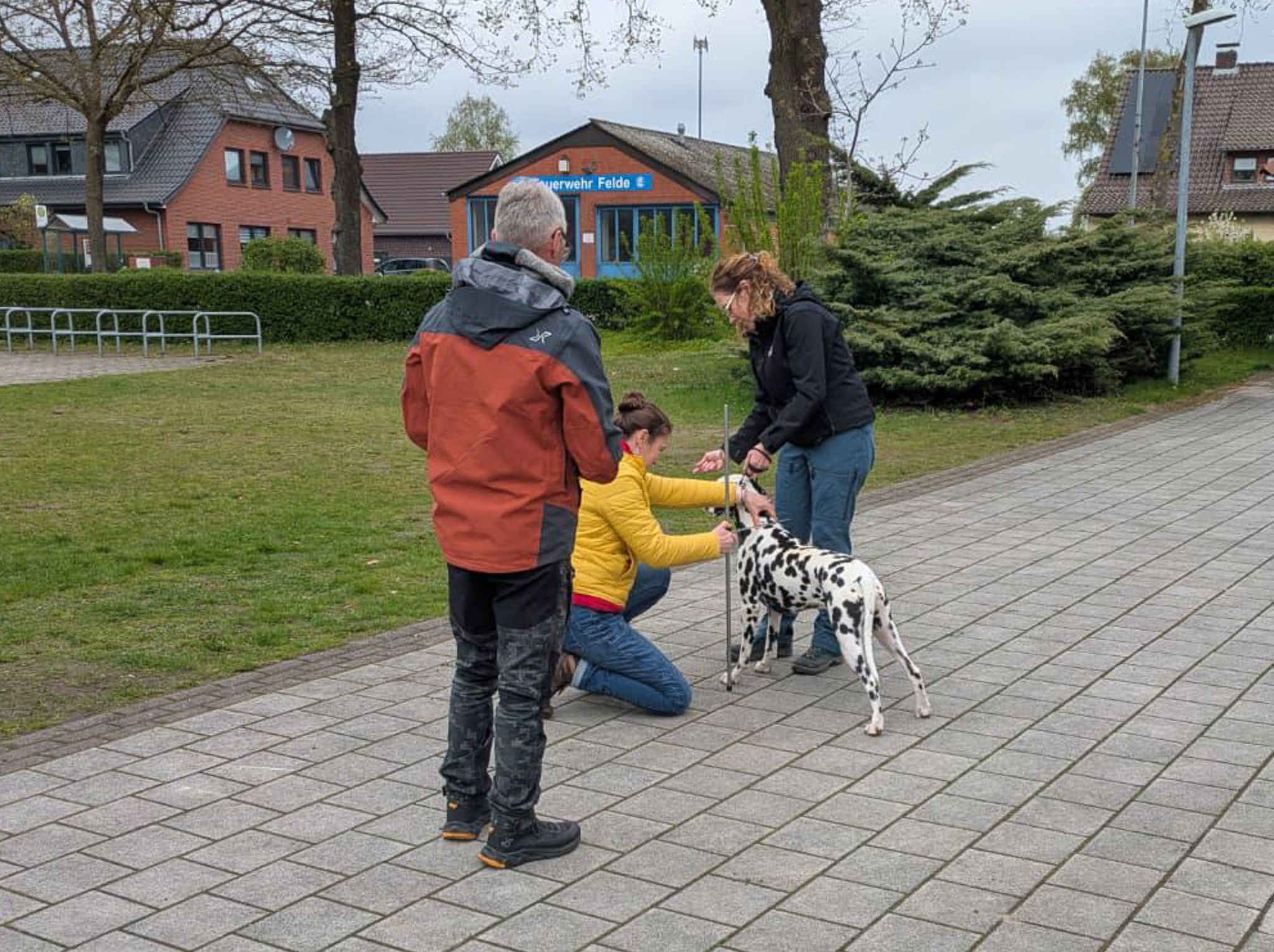 Zuchtzulassungsprüfung der Regionalgruppe Nord am 30.04.2023 in Wurster Nordseeküste