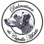Logo Dalmatiner de Capella Montis
