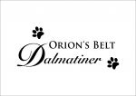 Logo Orion's Belt Dalmatiner