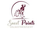 Logo Sweet Points Dalmatiner 