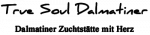 Logo ex Alphabetum