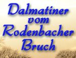 Logo Dalmatiner vom Rodenbacher Bruch