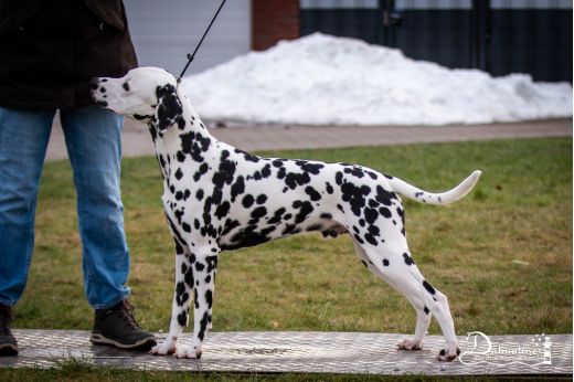 Bakari Junis aus dem Wurster Land
